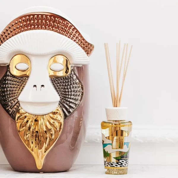 Diffuseur de parfum My First Baobab RIO en ambiance